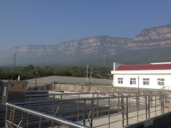 林州第四水厂工程
